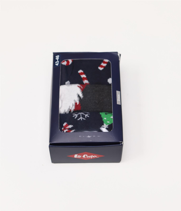 SKARPETY ANKSOCKS 2501 GIFT1