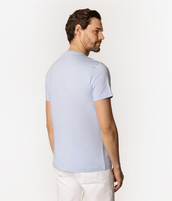 T-shirt męski z nadrukiem PARADISE 1160 WINDSURFER