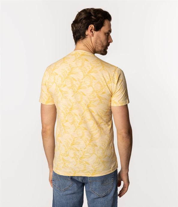 T-shirt męski z nadrukiem LEMON 3170 APRICOT GELATO