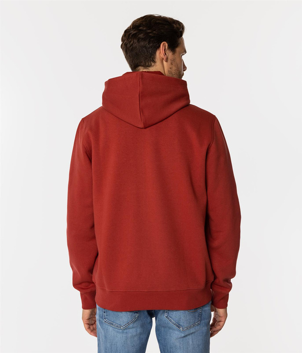 Bluza męska z kapturem i napisami ARIUS 4323 RED OCHRE