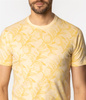 T-shirt męski z nadrukiem LEMON 3170 APRICOT GELATO
