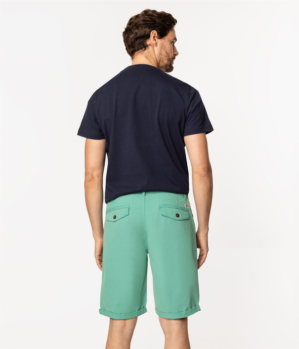 Bermudy męskie regular MATT 9802 WATER GARDEN