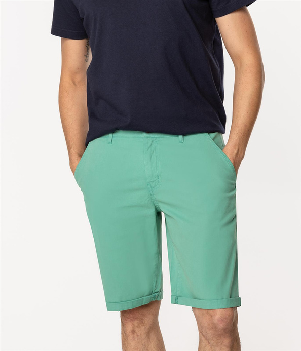 Bermudy męskie regular MATT 9802 WATER GARDEN