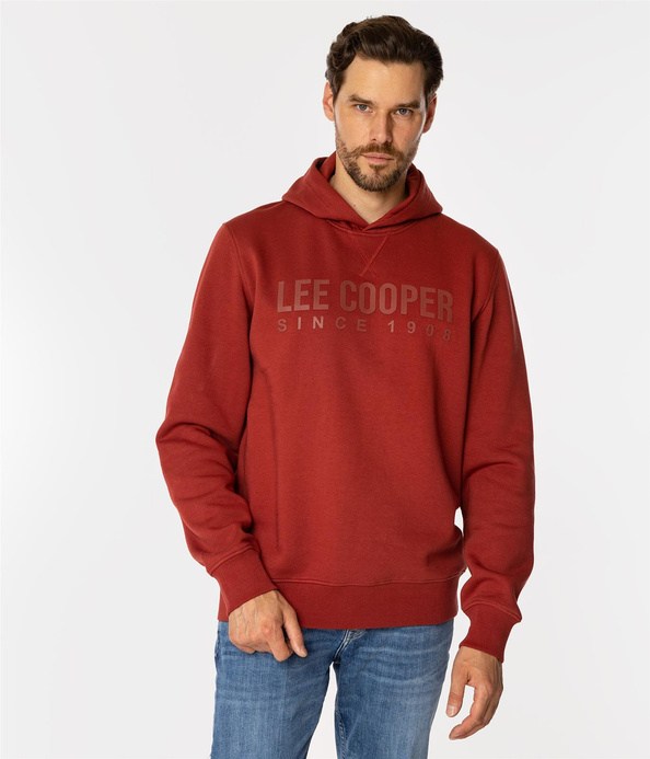 Bluza męska z kapturem i napisami ARIUS 4323 RED OCHRE